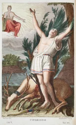 Cyparissus wird zu einem Baum oder Ciparisso, Buch X, Illustration aus Ovids Metamorphosen, Florenz, 1832 (handkolorierter Stich)